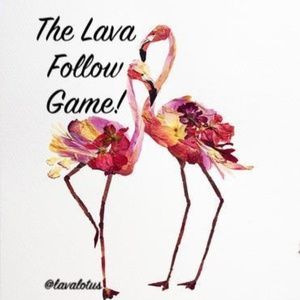 The Lava Follow Game!